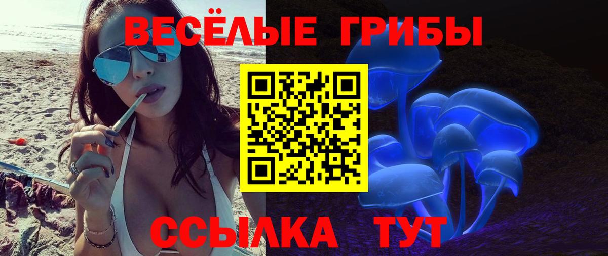 Псилоцибиновые грибы Psilocybine cubensis Гуково