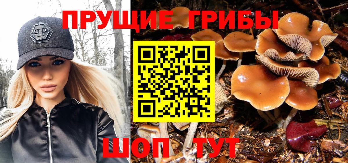 Псилоцибиновые грибы мицелий  даркнет сайт  Гуково  Вход с VPN  Галлюциногенные грибы ЛСД 